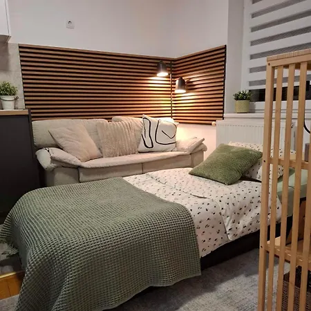Ns Urban Stay-studio With Balcony And Free Parking * Novi Sad