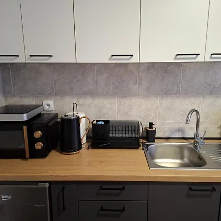 Daire Ns Urban Stay-studio With Balcony And Free Parking Novi Sad