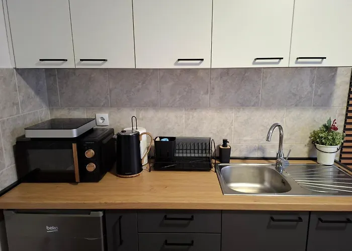 Daire Ns Urban Stay-studio With Balcony And Free Parking Novi Sad